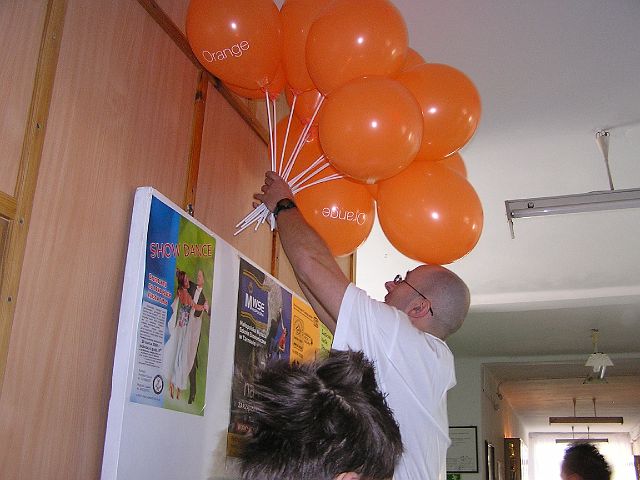 P1010054.jpg