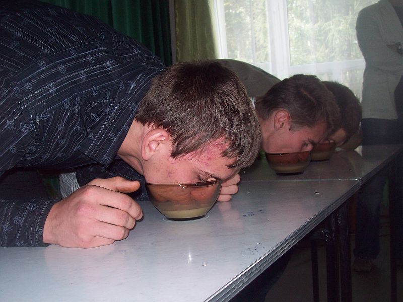 100_6812.JPG