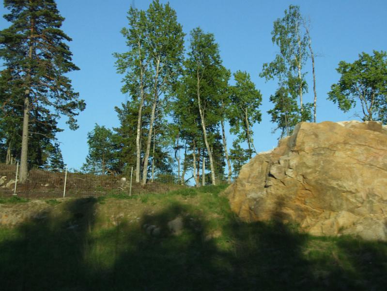 DSCF3318