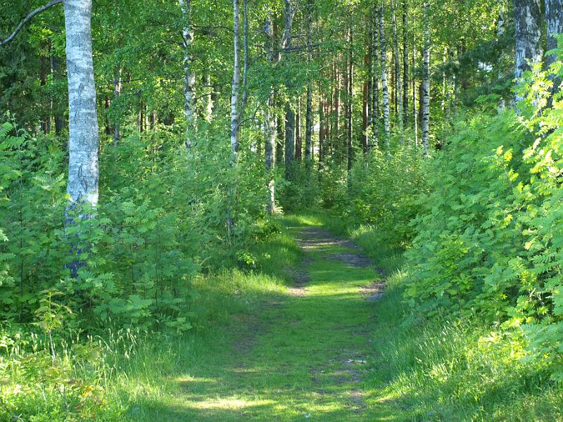 P6036535